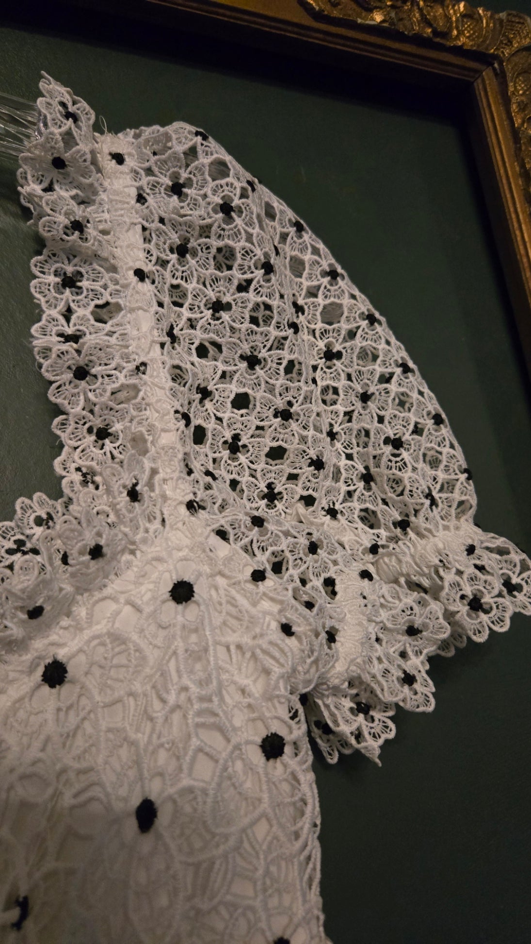 Vintage Embroidered Lace Ruffle Dress