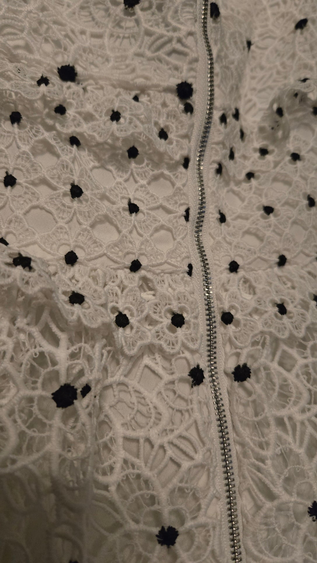 Vintage Embroidered Lace Ruffle Dress